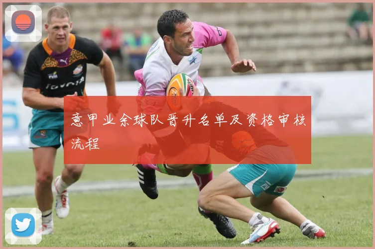 意甲业余球队晋升名单及资格审核流程